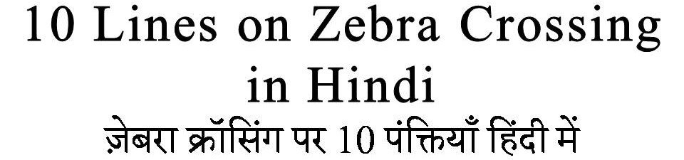 10 Lines on Zebra Crossing in Hindi