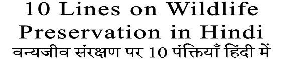 10 Lines on Wildlife Preservation in Hindi